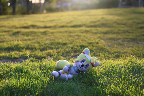 Photo 15