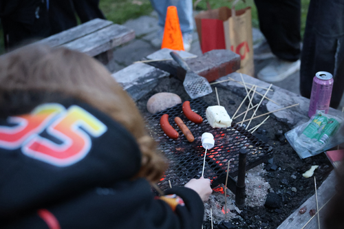 Rymdgrillen
