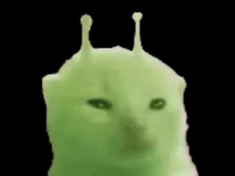 gorbyspiroger Avatar